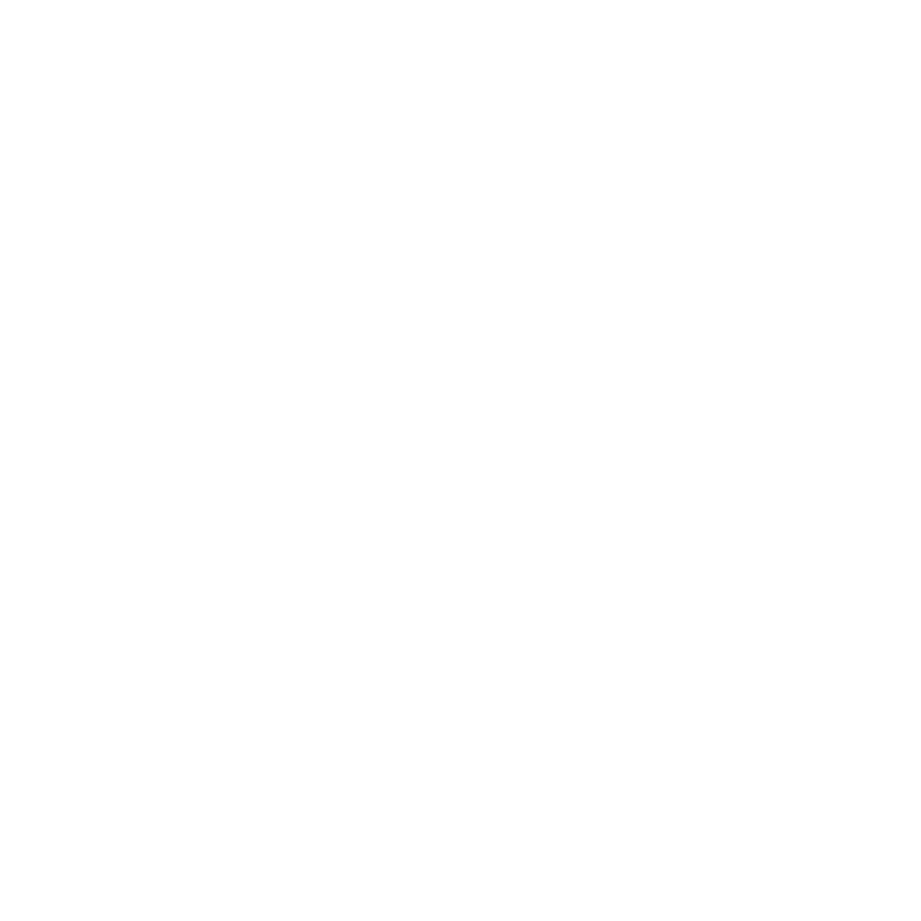 TikTok Logo